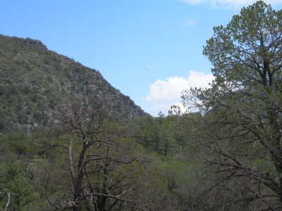 Eye in the sky in Ramsey Canyon