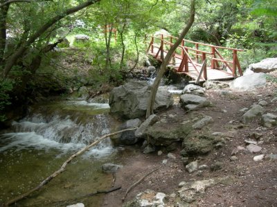 Footbridge in Garden Canyon