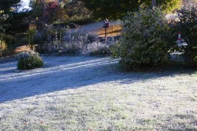 The Frost covered Front Yard