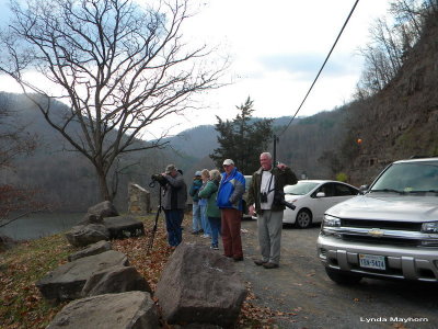 Meeting at the Lily Bridge