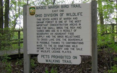 Birding Magee Marsh - May 2008