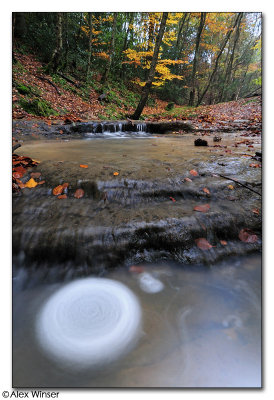 Roosthole Woods