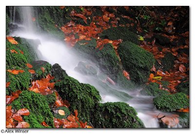 Waterfall
