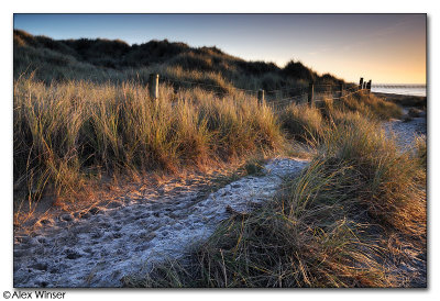 Frosty Dune