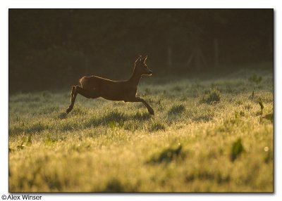 g1/65/523365/3/112904898.AnhpkYsj.jpg