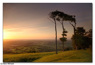 Chanctonbury Ring