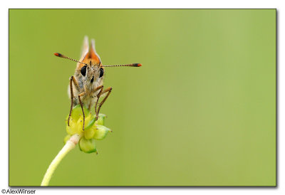 g1/65/523365/3/126142932.eCSwmrnL.jpg