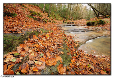 Autumnal Stream