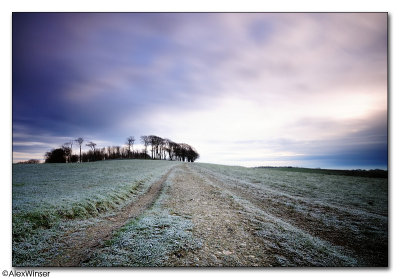 Chanctonbury Ring