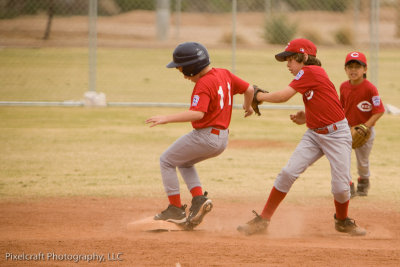 Phillies_0993.jpg