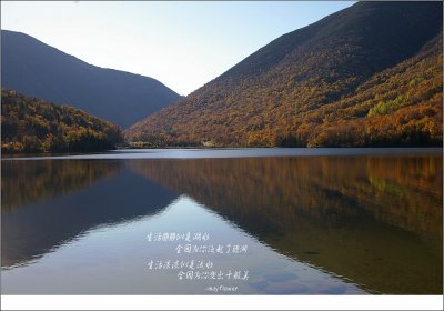 NH101208_086a.jpg