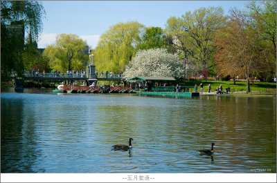 Boston