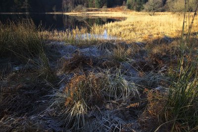 Sunshine & frost
