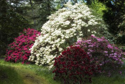 Spring display