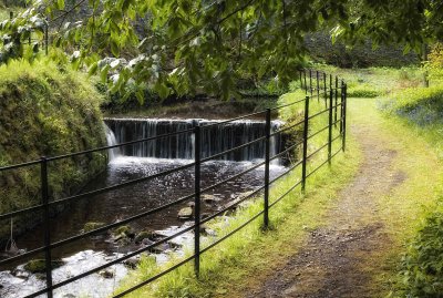 Stream