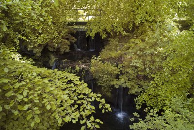 Woodland Waterfalls