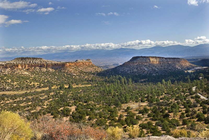 rio grande valley