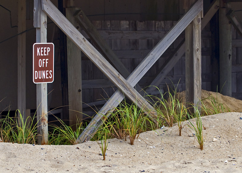 keep off the dunes