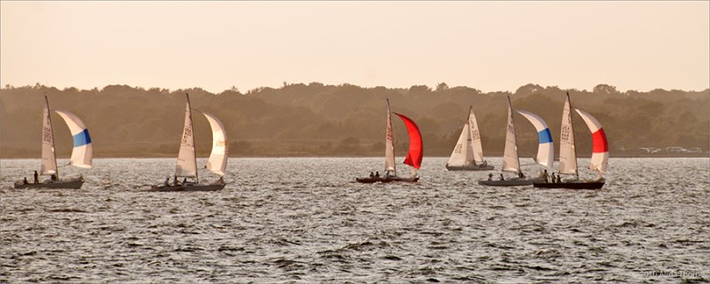 Sailing in the Bay