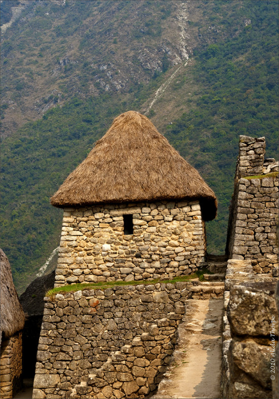 Machu Picchu thatched roof