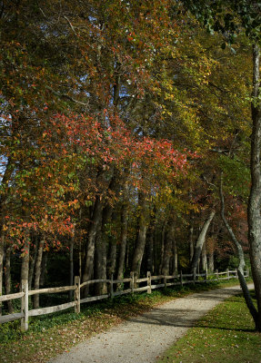 Bayard Cutting Arboretum