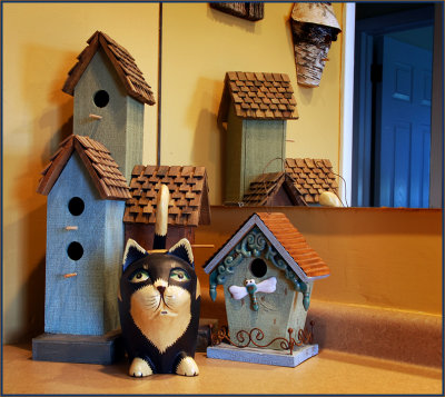 more cats & birdhouses