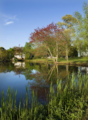 Behmans Pond