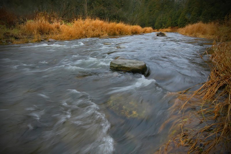 Duffins Creek