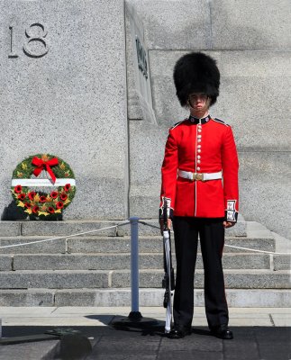 Guard at Canadian National War Memorial