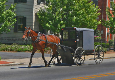 Horse and buggy51902.jpg