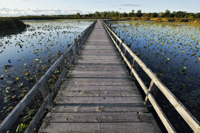 Point Pelee National Park