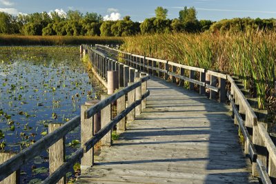Point Pelee National Park