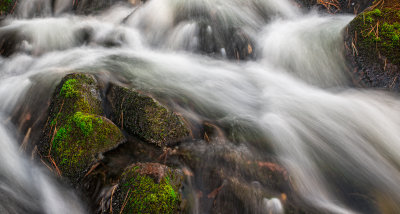 _DSC0762.jpg