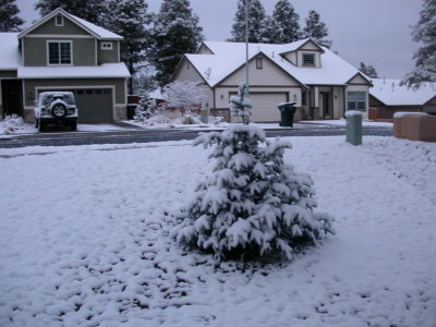 Other Christmas tree