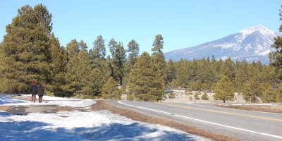 A few photographs from our life in Flagstaff, AZ
