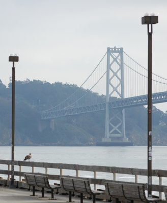 Benches+Bird+Bay+Bridge