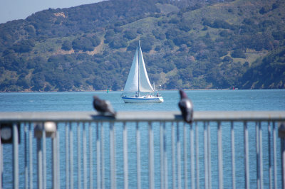 Watching the ship go by . . .