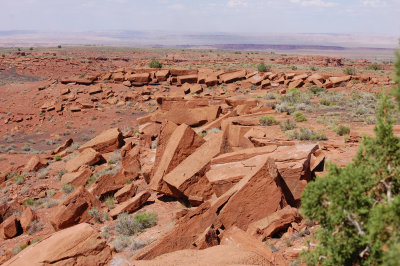 Fallen rocks