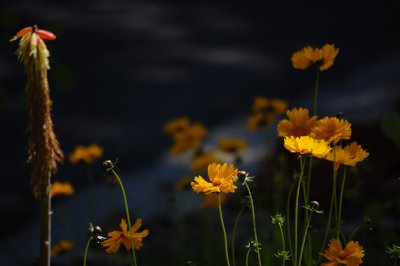 lighting