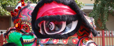 The eye