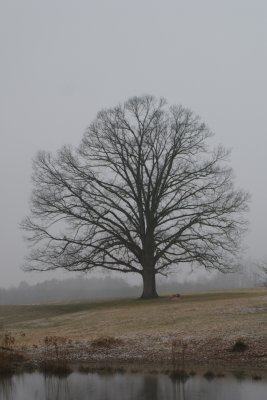 Somewhere near Sandy Ridge, NC
