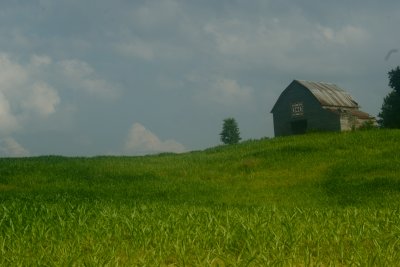 g1/65/628065/3/113732251.NJpXc1Ju.jpg