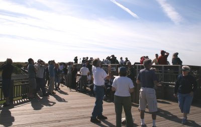 Hawk Watch Platform