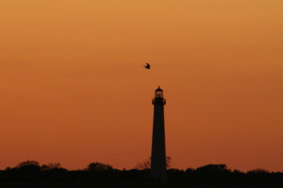 Lighthouse at Sunset