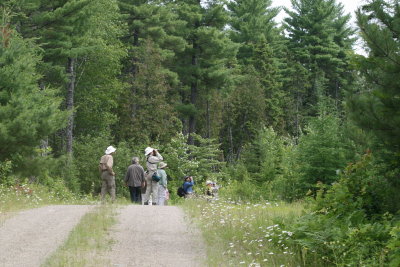 g1/65/639765/3/126325406.YlyS4t5K.jpg