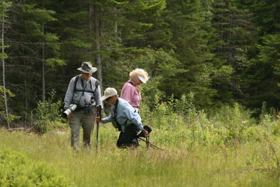 In The Field