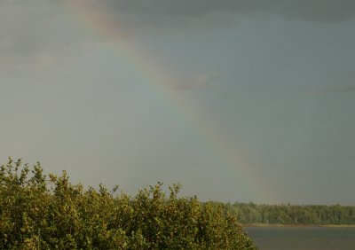 Machias Rainbow