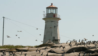 g1/65/639765/3/126325438.M8B1WsCE.jpg