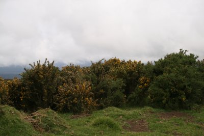 g1/65/639765/3/97770378.FH1tFUzf.jpg