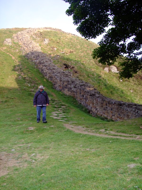 Hadrians  Wall, at Sycamore  Gap,looking  west.